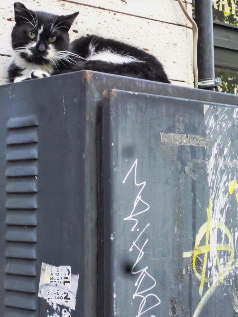 ヤンチャで悪そう～♪♡