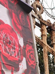 美しい薔薇にはトゲがある＊；＊