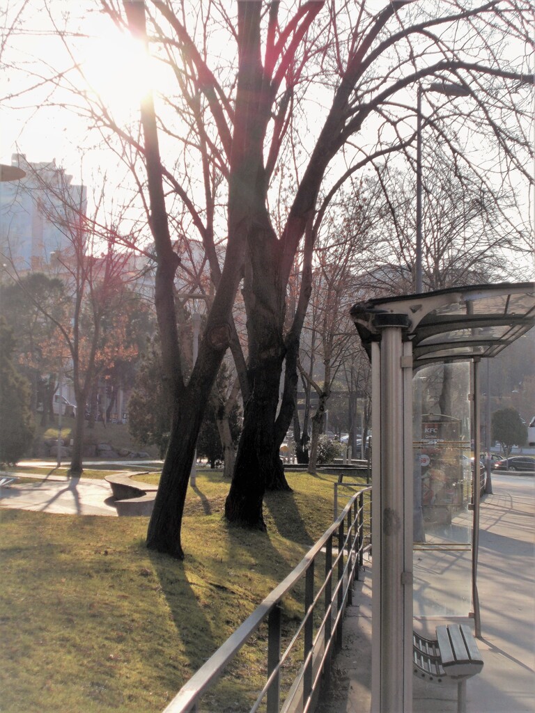 春よ　ここでずっとずっと待ってます～～