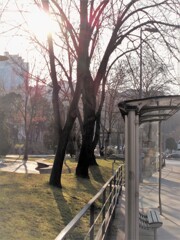 春よ　ここでずっとずっと待ってます～～