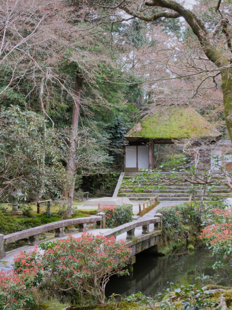 東山のふもとに佇む法然院～