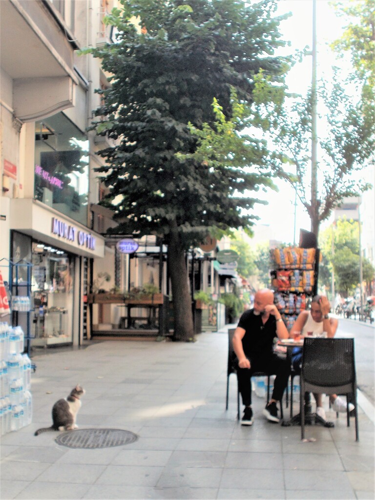 優しいにらみ合い～☆　ボケボケだけど…
