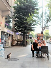 優しいにらみ合い～☆　ボケボケだけど…