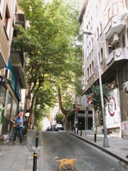 おじちゃん　お掃除～　僕　早朝パトロール～♪