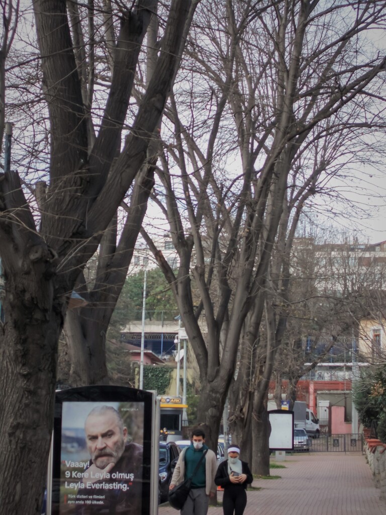 老いて行く…ということ…