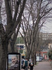 老いて行く…ということ…