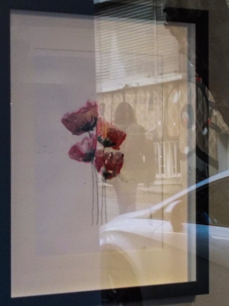 淋しさにかじかむケシの花…