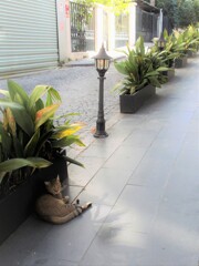 言葉より…沢山を語る目…