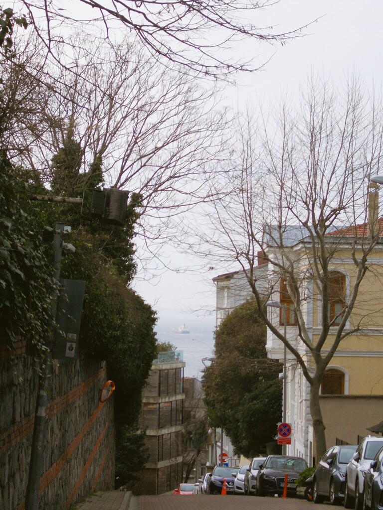 シュールな景色～～