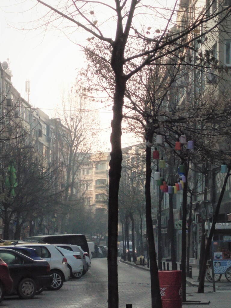 霧に霞む海辺の町の朝～✨