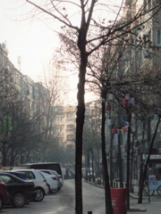 霧に霞む海辺の町の朝～✨