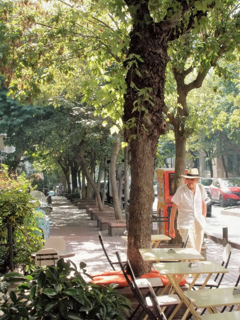 おじさんも夏仕様～～♪
