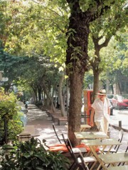 おじさんも夏仕様～～♪