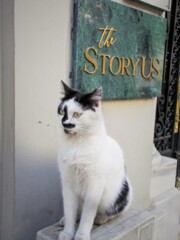 Lのストーリー～♡