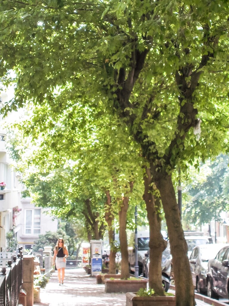 ミス　グリーン～