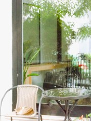 若緑色のお星さま～キラキラ～ふわふわ～～☆