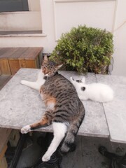 大事な大事な我が子～～♡