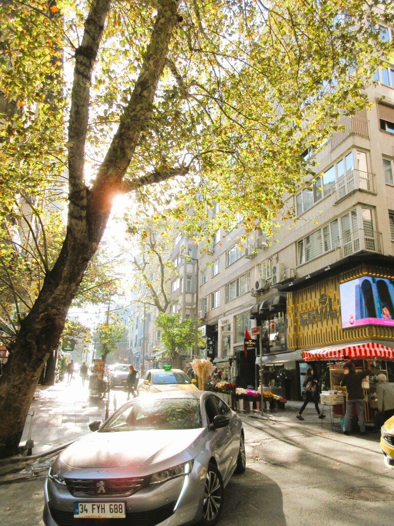 もうすぐ街の朝は金色になる～～♪