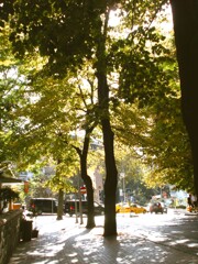 初秋の朝～　キラ☆キラ～