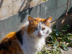 トンネル開通終了…！