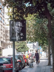 毎朝すれ違う　美しいあのひと～♡