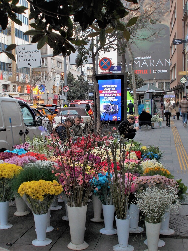 桃色の花が　１番　春が来るよ　もうすぐって呟いてる～～♡