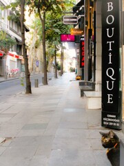 今日の　風の吹くまま～気の向くまま～～