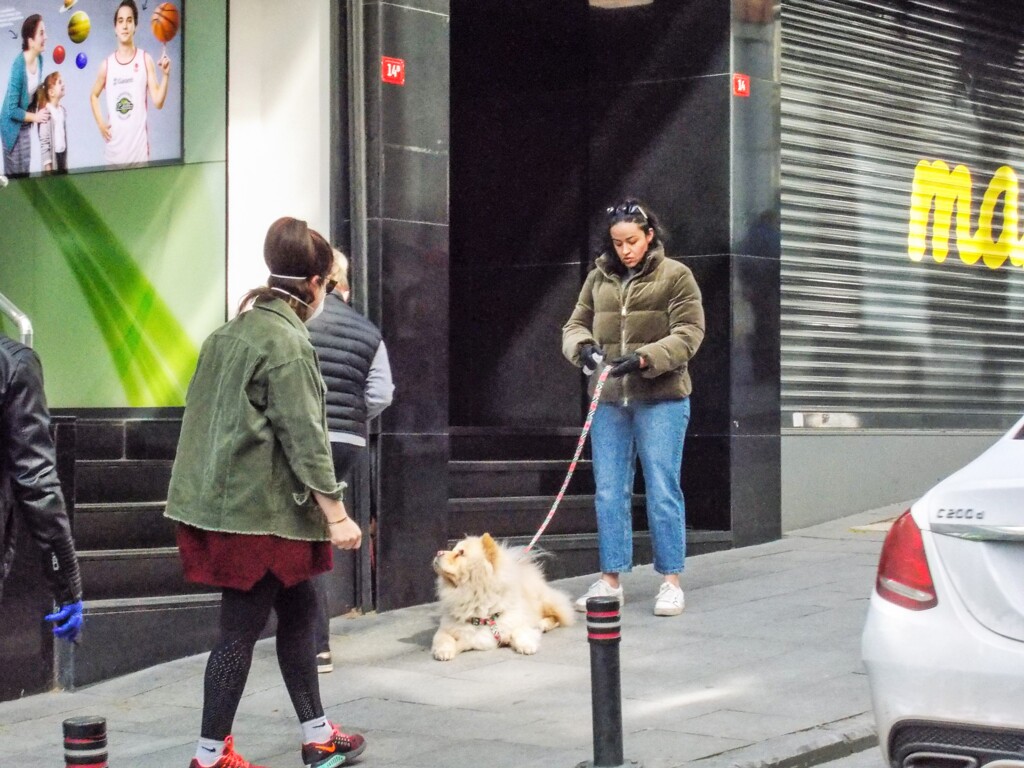 スーパーの行列の向かいの通り…