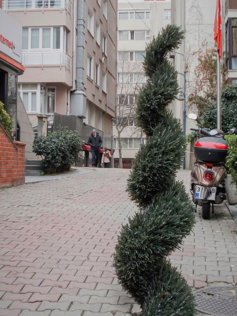 ニョキ～ニョキ～　ここ　僕ここだよ！☆