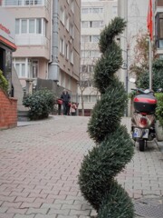 ニョキ～ニョキ～　ここ　僕ここだよ！☆