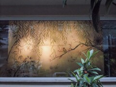 窓～　道行く人の為に～✶　住人はきっと…