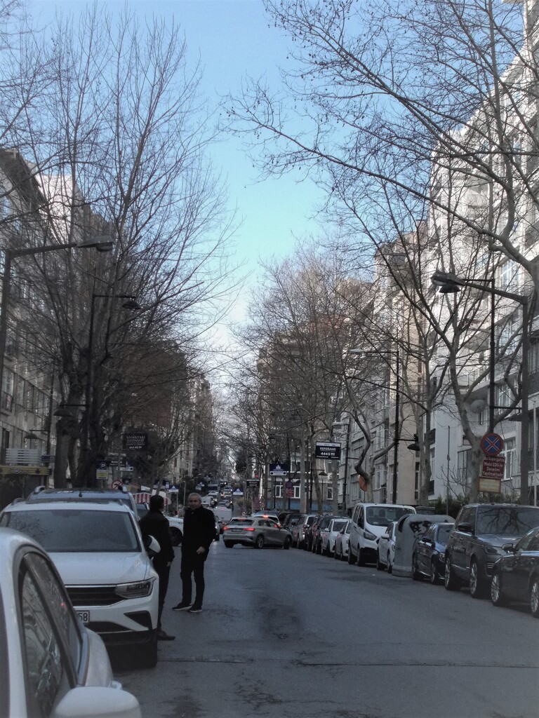 春が来る～♪　冬は銀色だった空がこんなに青く～