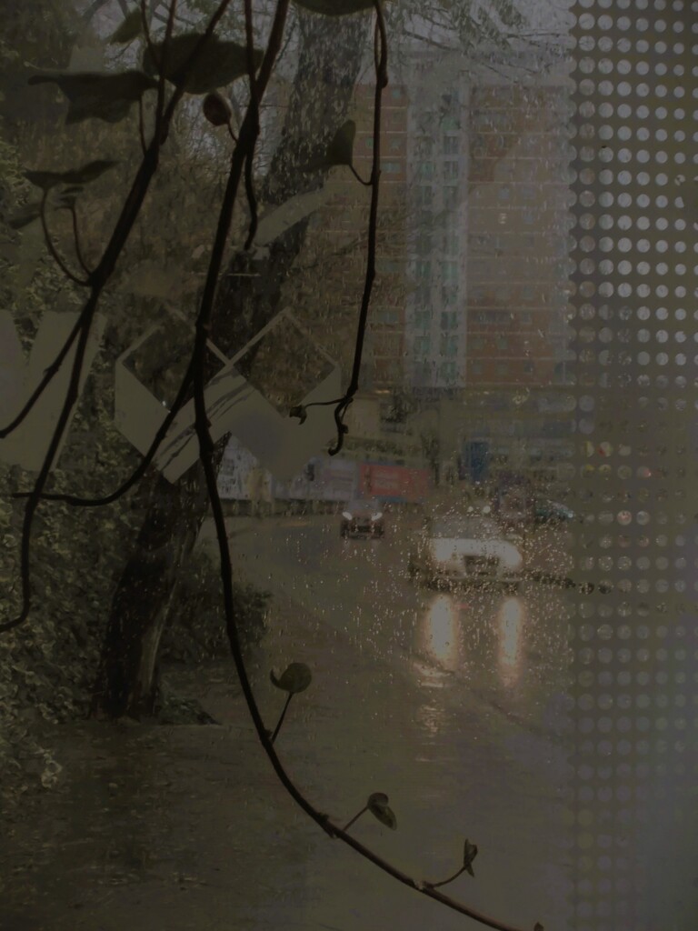 私も今日はそっと雨。。。