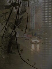 私も今日はそっと雨。。。