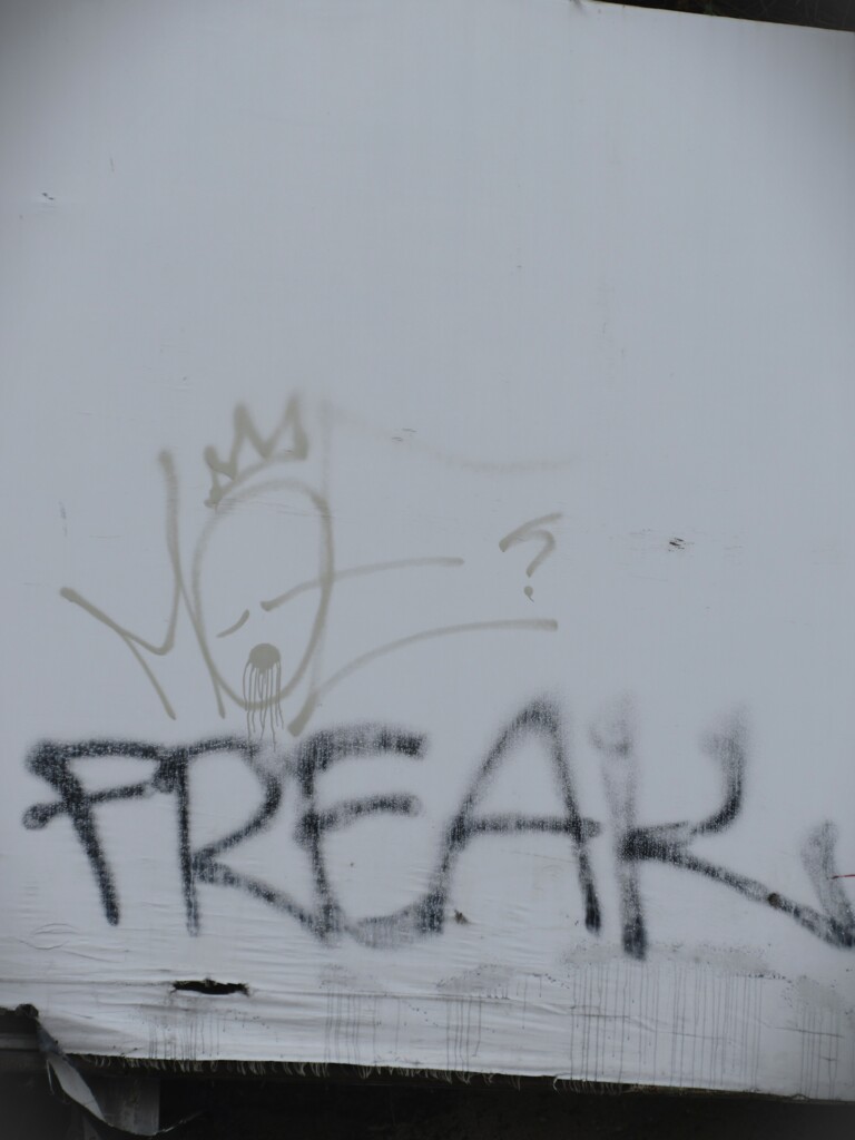 消えそな落書き…　The Scream