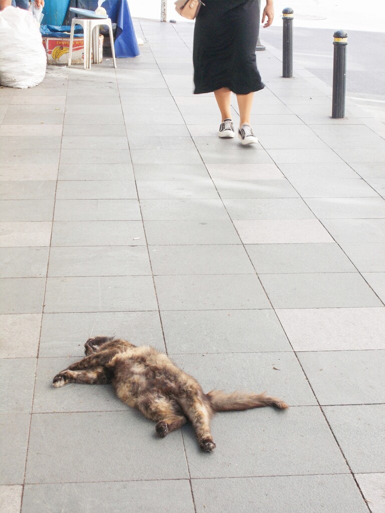 ごめん…って言って通ります…私達