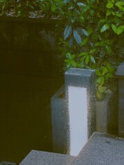 外は雨。。。.。o○