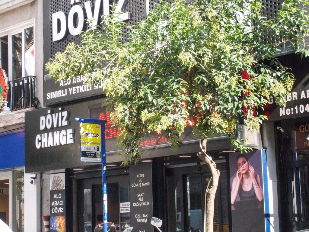 メラメラ赤がショッキング☆