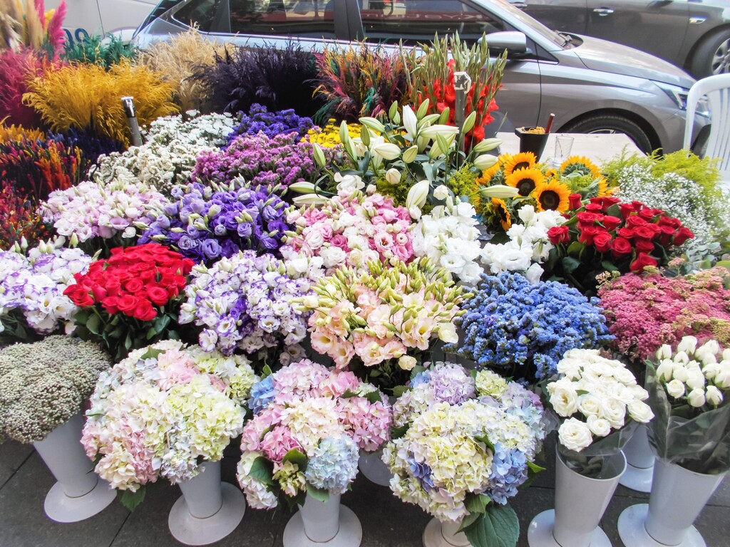 今朝のジプシーの花売り～　彩雲みたいな紫陽花✨