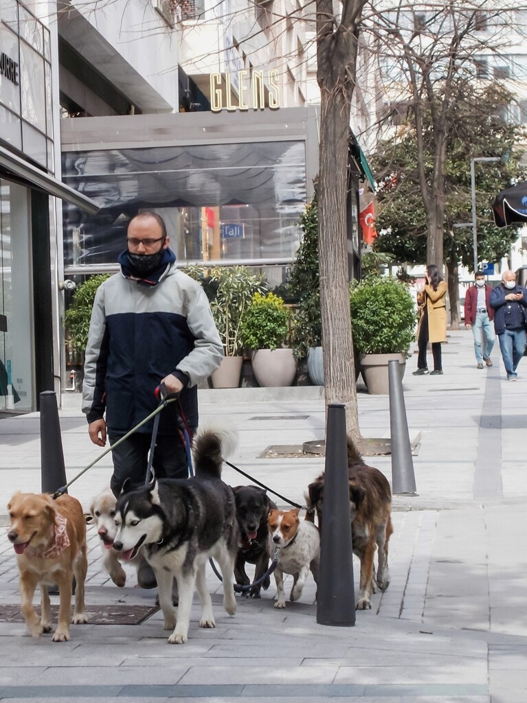 行進曲～　タンタタンタタンタタンタ～