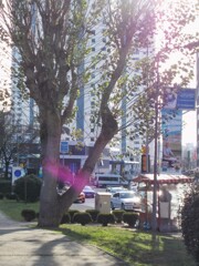 過ぎてきた時が報われる～♡～