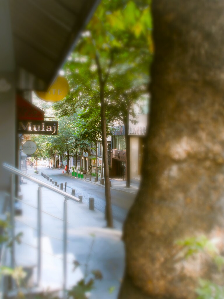 隘路…　ここさえ抜ければ…きっと…