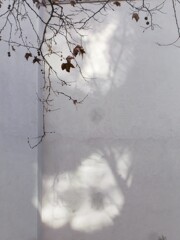 ～追憶～～