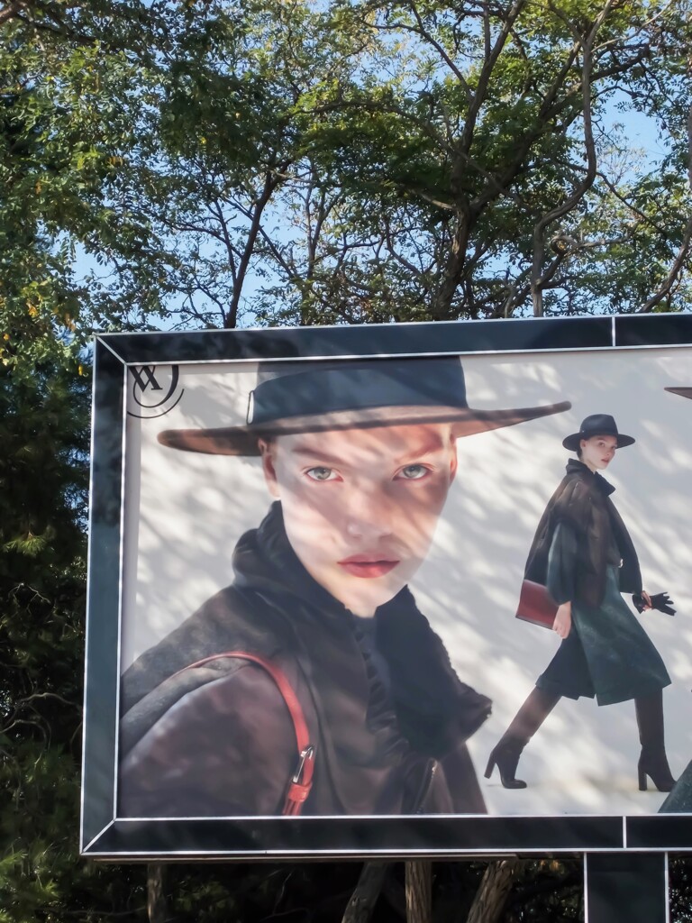 初秋の木漏れ日　✨～