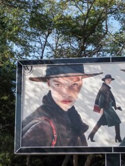 初秋の木漏れ日　✨～