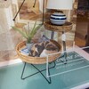お店のディスプレー　＊通りの野良ちゃん以外＊