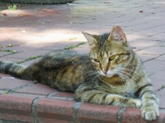 more than words～♪～♡