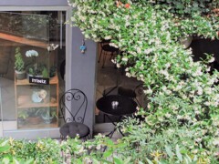 どこまでも続くジャスミンの生垣の薫る住宅街~ どこまでも続くジャスミンの生垣の薫る住宅街~