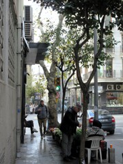 レタスグリーンな空気の朝～