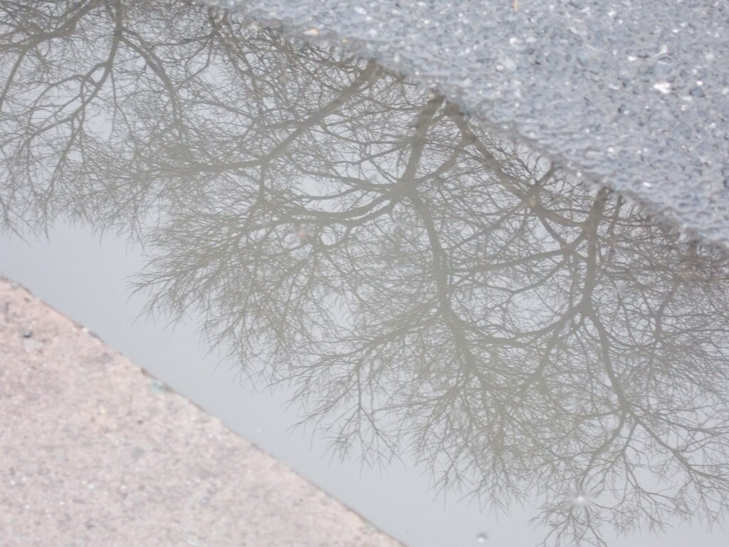 水溜り～　どこへの入り口？～